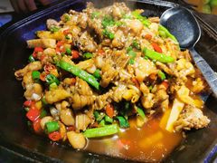 -蛙来哒(万豪城市广场黑金冠店)