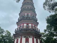 -顺峰山公园