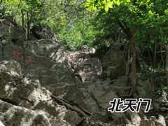 -紫金山山顶公园