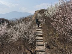 -北京凤凰岭