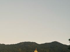 -深圳仙湖植物园