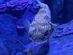 -成都浩海立方海洋公园