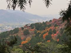 -香山公园