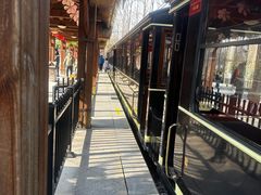 -合肥滨湖国家森林公园