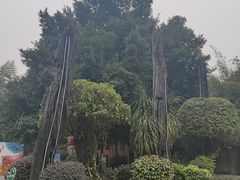 -天赐温泉