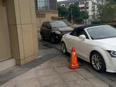 -Dark Horse·黑马蛋糕·低脂·低糖淡奶(金匙望湖大厦店)