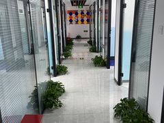 -新航道雅思托福·留学·考研培训(人民广场校区)