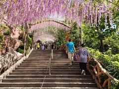 -黄腾峡天门悬廊