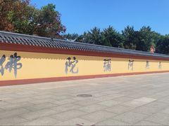 -上海东林寺(金山区)