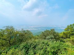 -紫金山山顶公园