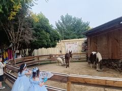 -HERRE·FARM 赫尔露营农场·团建聚会包场