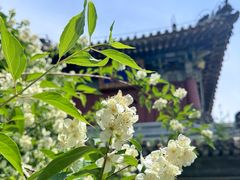 -潭柘寺景区