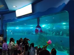 -苏州海洋馆