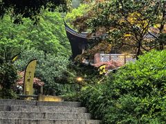 -十八棵（老龙井）御茶园(老龙井店)