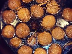 -红猪卤肉饭(大西洋美食城店)