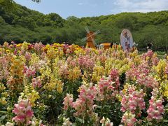 -苏州上方山国家森林公园