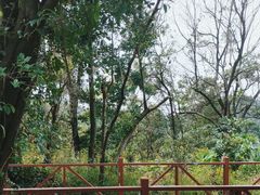 -石燕湖生态旅游景区