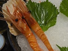 -極上萬膳·日料放题(海岸城店)