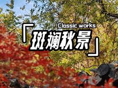 -郑和公园