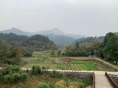 -绩溪龙川景区
