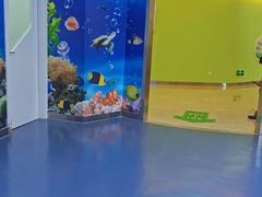 -宁波儿童口腔医院(钱湖院区)