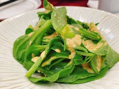 冰草-晋府大酒店