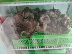 -山菌美食苑(振兴路店)