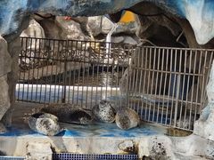 -华夏文旅海洋公园