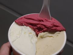 -Dip in Gelato(富民路店)