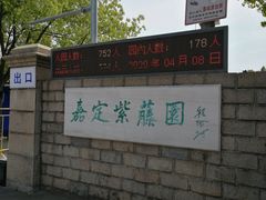-嘉定紫藤园