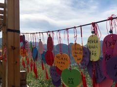 -野三坡刘家河高山漂流