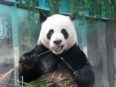 -栾川竹海野生动物园