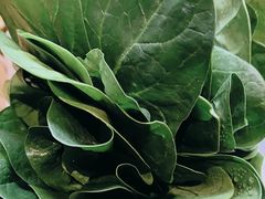 -南门四季铜锅涮肉(大屯·北苑店)