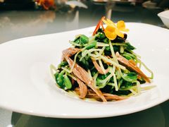 黑腐竹拌豌豆苗-北京厨房(西安SKP店)