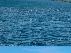 -赛里木湖风景名胜区