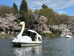 -井之头恩赐公园