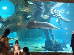 -华夏文旅海洋公园