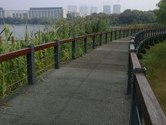 -尚贤河湿地