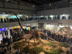 -自贡恐龙博物馆