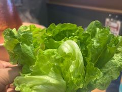 -额尔敦草原涮羊肉·烧烤(冻青树总店)