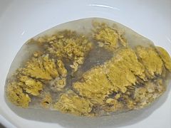 -仪征博物馆