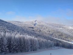 -多乐美地滑雪场