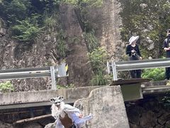 -安吉龙王山峡谷漂流