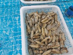 -裕德隆清真饭庄·天津特色菜(东丽店)