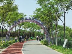 -上海长兴岛郊野公园