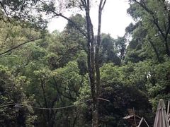 -华溪森林公园-售票处