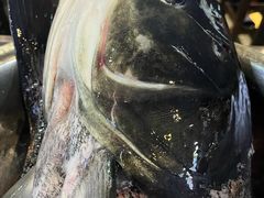 -好灶头妈妈菜·柴火灶台鱼·千岛湖土菜地标美食