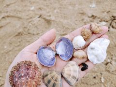 -那香海钻石沙滩浴场