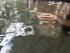 -陆地游轮吉林神农温泉