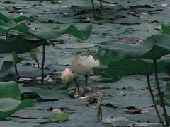 -青龙湖公园